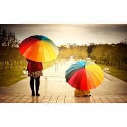Как правильно выбрать зонт?. 